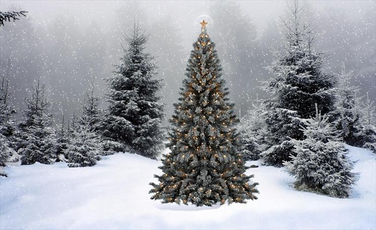 BOŻE NARODZENIE 1 - trees_garland_star_snow_winter_forest_new_year_christmas_37581_1920x1180.jpg