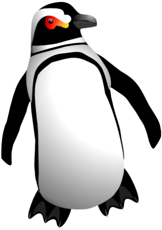 ZOO- Pingwin - toon-penguin-01.png