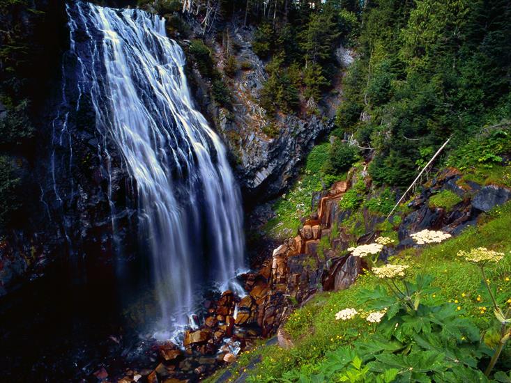 A - Narada Falls, Mount Rainier National Forest, Washington.jpg