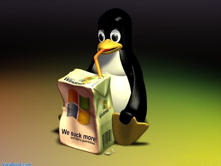 tapety2 - 3165_Penguin_Windows_XP.jpeg