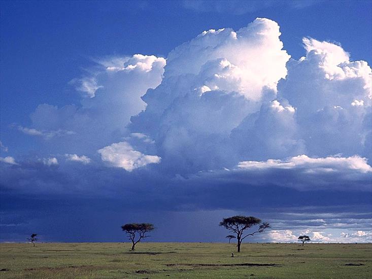 Chmurki na niebie - Storm Over the Savannah, Masai Mara National Reserve, Kenya.jpg