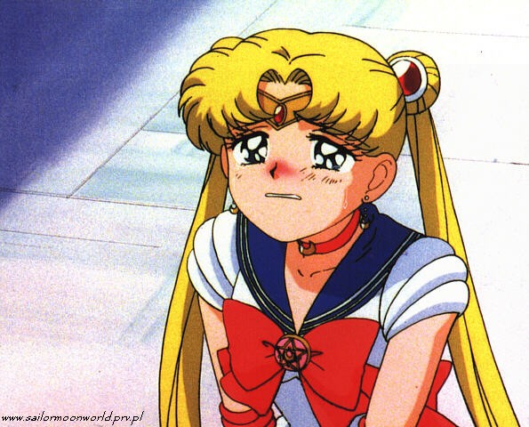 Sailor Moon - GALSM 8.jpg