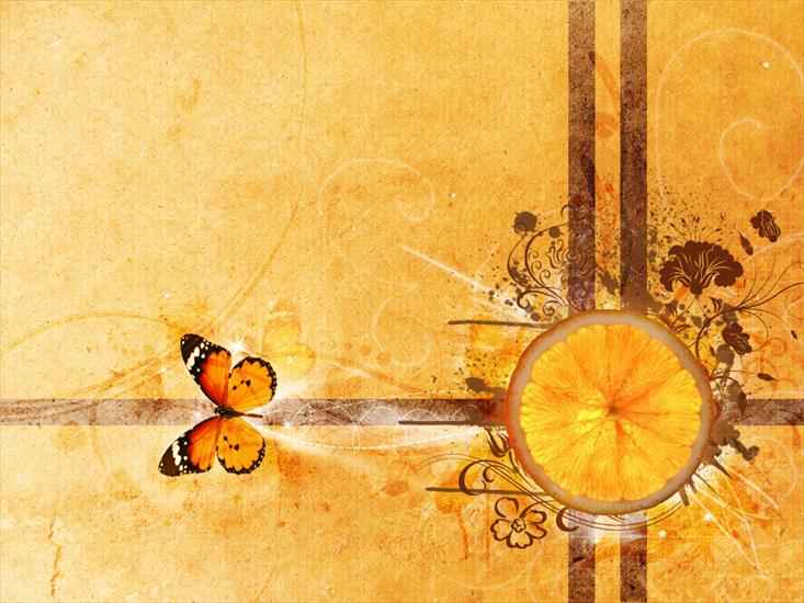 TAPETY - orange-and-butterfly-wallpapers_9519_1024x768.jpg