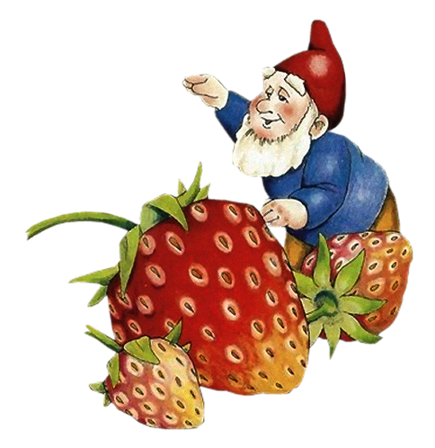 owoce - truskawkin.png