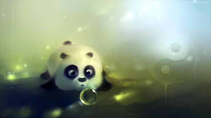 2D - 77657_panda_banka.jpg