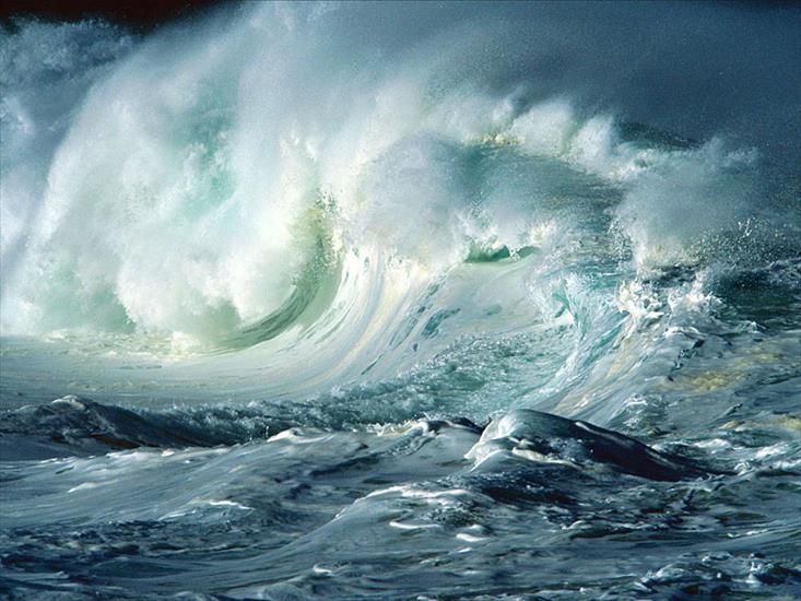 wave - wave_sea_natura-033.jpg