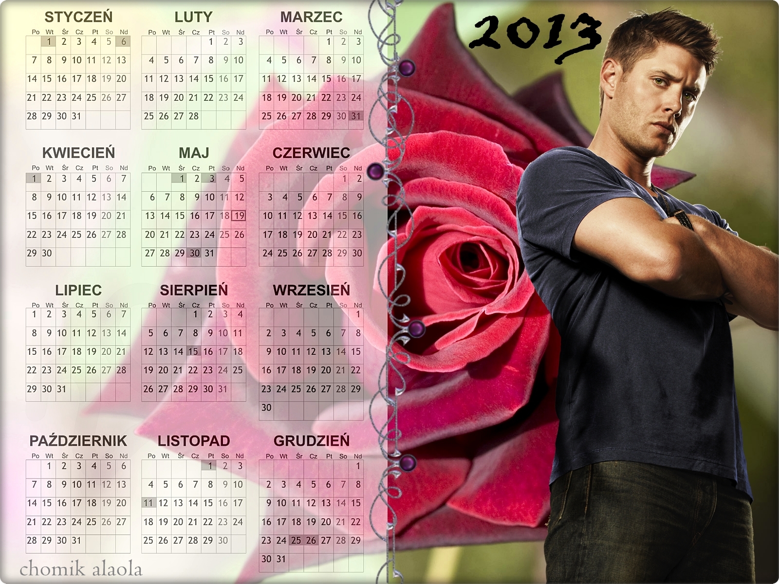 ALAOLA - dean kalendarz 2013.jpg