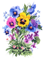 gify i jpg kwiaty animacje - 173527saxahsnqfm.gif