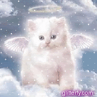gify - angel_kitty.gif
