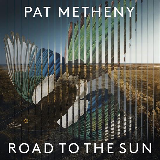 Pat Metheny - Road to the Sun 2021 - Front.jpg