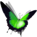 Ikony na pulpit - butterfly green.ico