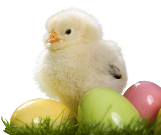 Wielkanoc-kurczaczki i kaczuszki - Wielkanoc.png