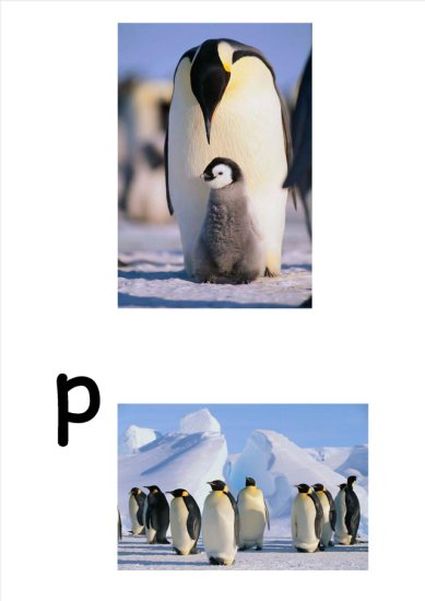 Eskimos - pingwiny_Page_1.jpg