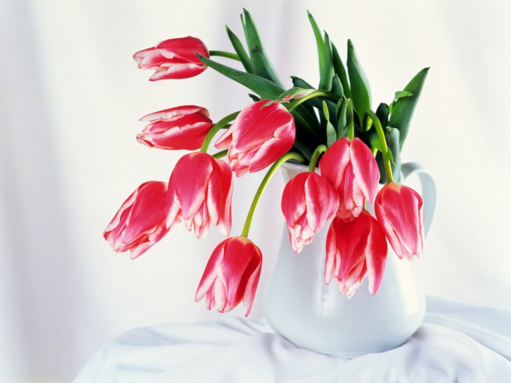 Kwiaty - tulipany_we_flakonie-1152x864.jpg