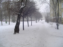 zima - ferie-zimowe-zabawy-na-sniegu_m.jpg
