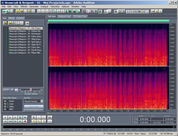 Adobe Audition spectrum - Track 01.jpg