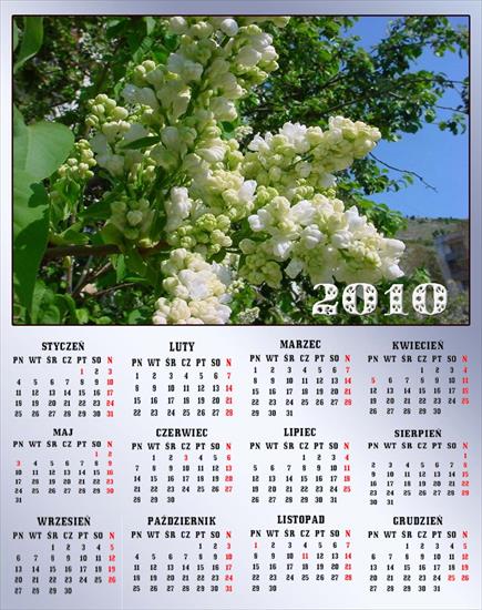 kalendarze 2010 - Bez nazwy 15.jpg