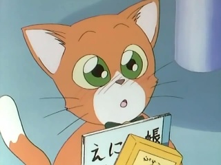 Mikan-pomaranczowy-kot - mikan.jpg