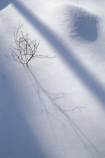 Veer Fancy Photography - Winter Scenery - FAN1006511.jpg