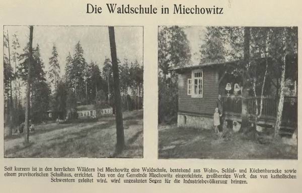 Miechowice - Miechowitz - Waldschule.jpg