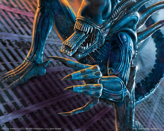Aliens vs. Predator 2 - 153163_wallpaper_aliens_vs_predator_2_09_1280.jpg