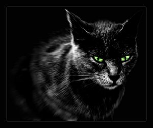 Czarne Koty - witchescatcc2.jpg