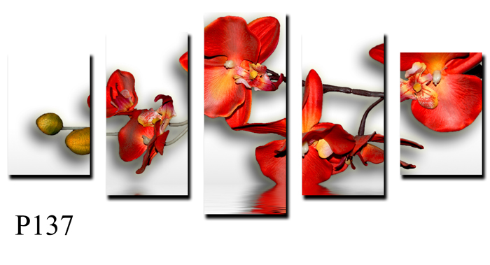 Kwiaty - P137.jpg
