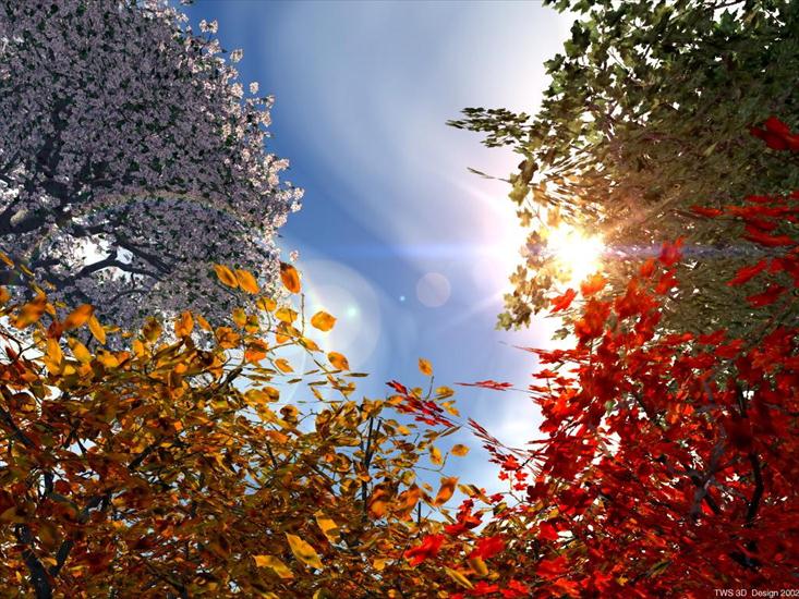 Jesień i Wiosna - Drzewa jesienią.jpg