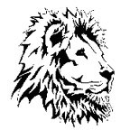 Tatuaże - lionhead2.jpg