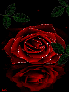 Czerwone róże - 9266345.gif