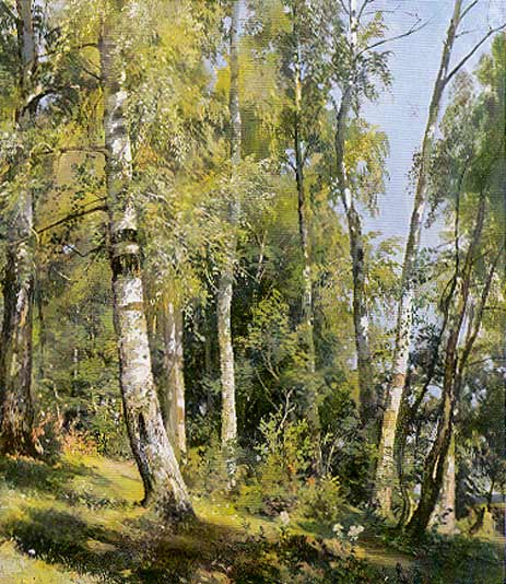 Iwan Iwanowisz Szyszkin - shishkin - birch grove.jpg