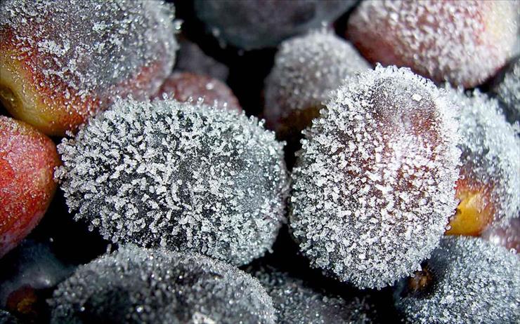 tapety -  OWOCE - 00909_frozengrapes_1440x900.jpg
