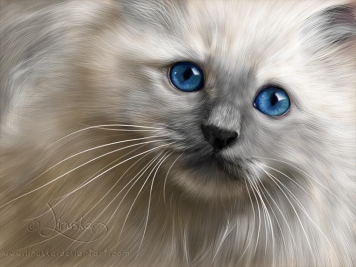 koty - White_cat_by_Linuska1.png