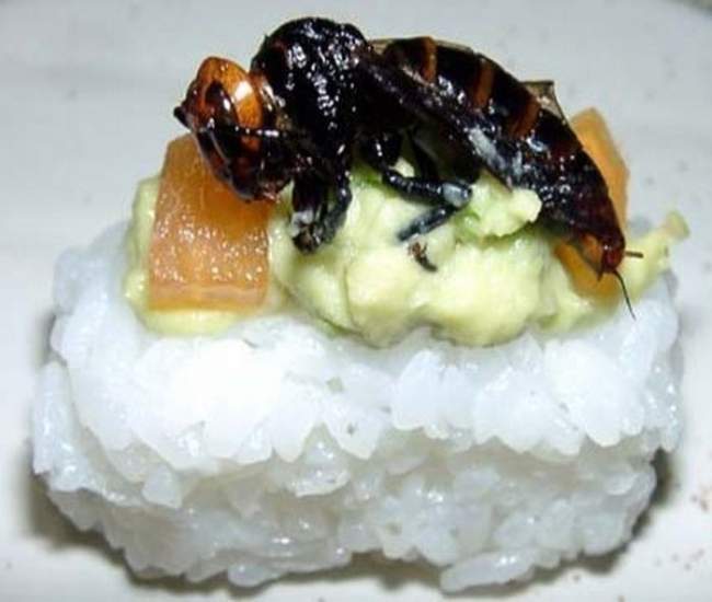 Sushi z owadami - c1de60fb39f4405f4acd46f.jpg