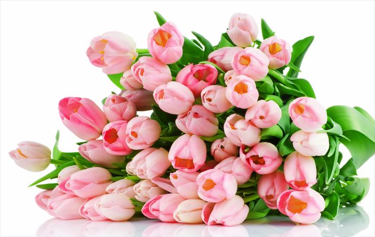 Tulipany g-r - pink-tulips-cvety-buket.jpg