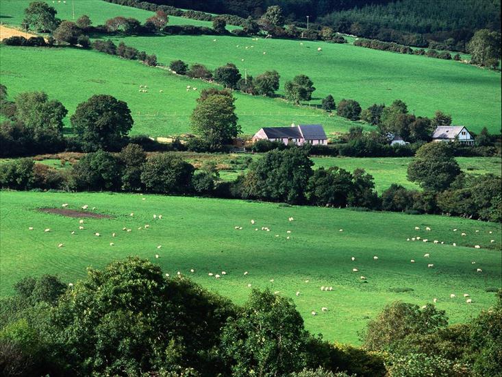 agogo33 - Fields and Farmhouses of County Cork, Ireland.jpg