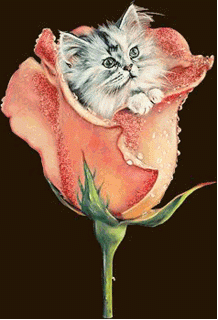 gify śmieszne - roza animation herbaciane w srodku kotek.gif